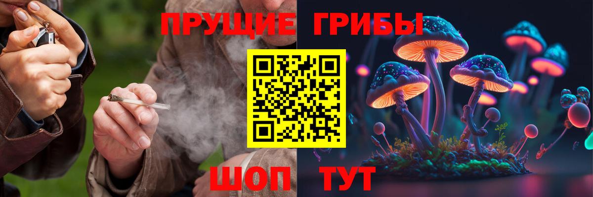 Псилоцибиновые грибы Psilocybine cubensis Лянтор