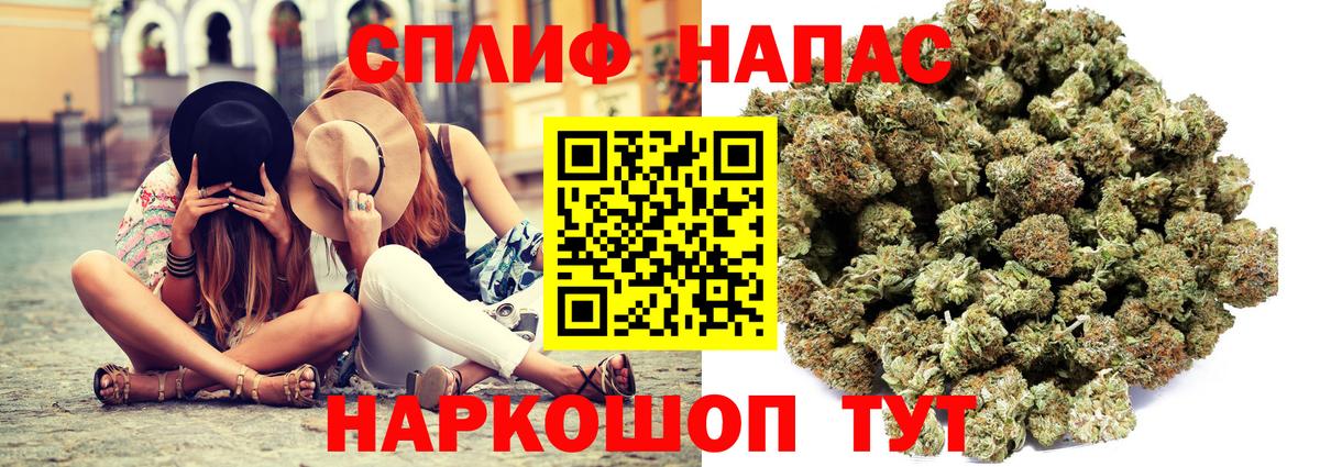 Лянтор  Каннабис сатива  Марихуана планчик  МАРИХУАНА VHQ  Вход с VPN 